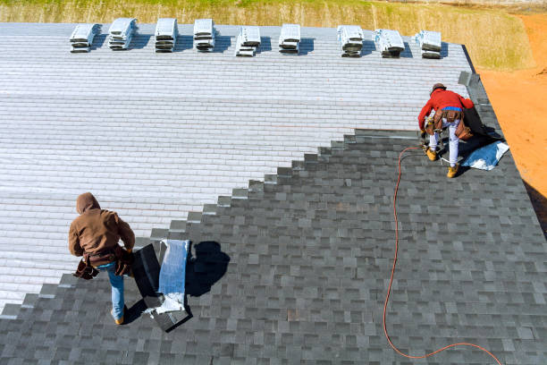 Best Roof Gutter Cleaning  in Lake Village, AR